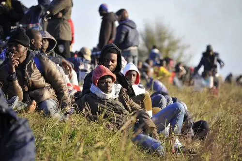 Boxe gratis per i migranti, è bufera sull'iniziativa promossa da Pd