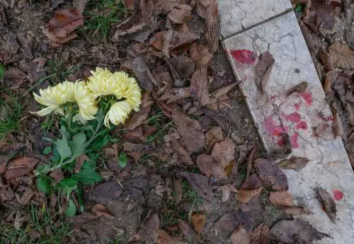 Milano, l'identikit del killer. "L'ha sgozzata per la collana"