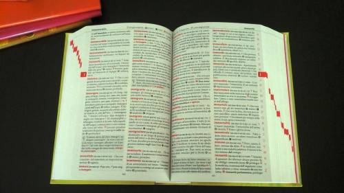 L'ultima follia woke: per la Stanford dire "americano" è offensivo