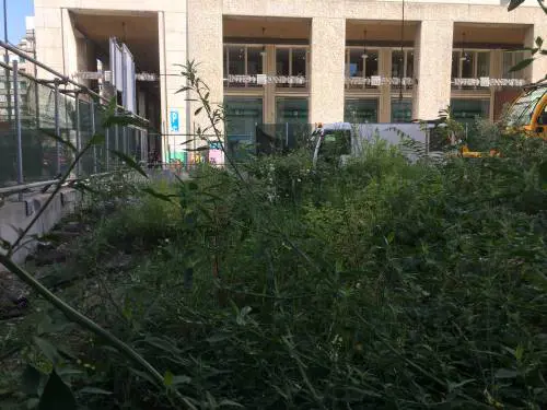 Forza Italia: "Una petizione per sgombrare via Borgogna"