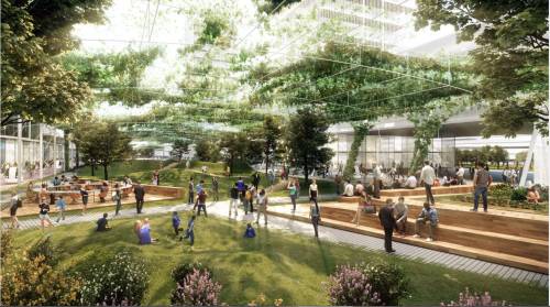 Paris: l'appalto del verde? C'era rischio "Spelacchio"
