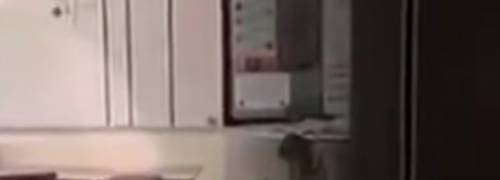 Usa, insegnante sniffa cocaina in classe