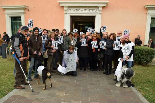 Dire "bastardo" a un sindaco? Può essere reato di solidarietà