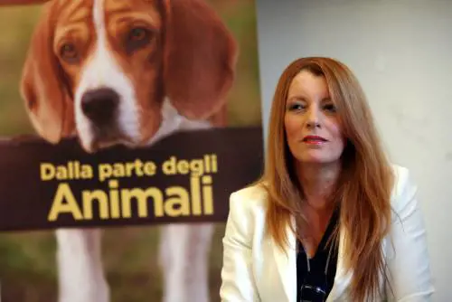 Dieci storie (commoventi) di animali. La Brambilla racconta l'amore più grande