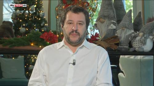Salvini sfotte l'albero della Raggi: "Che tristezza, ve lo regaliamo noi"