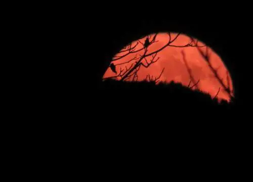 Stasera la "Superluna di fragola": ecco perché si chiama così