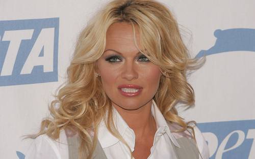 Molestie, parla Pamela Anderson: "Si sa cosa succede in albergo"