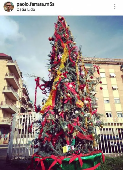 Anche l'albero di Ostia viene stroncato: "Sembra coperto di monnezza"