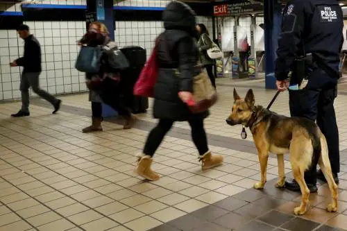 L'attentatore di New York: "America, muori". Trump: "Basta lotteria dei visti"