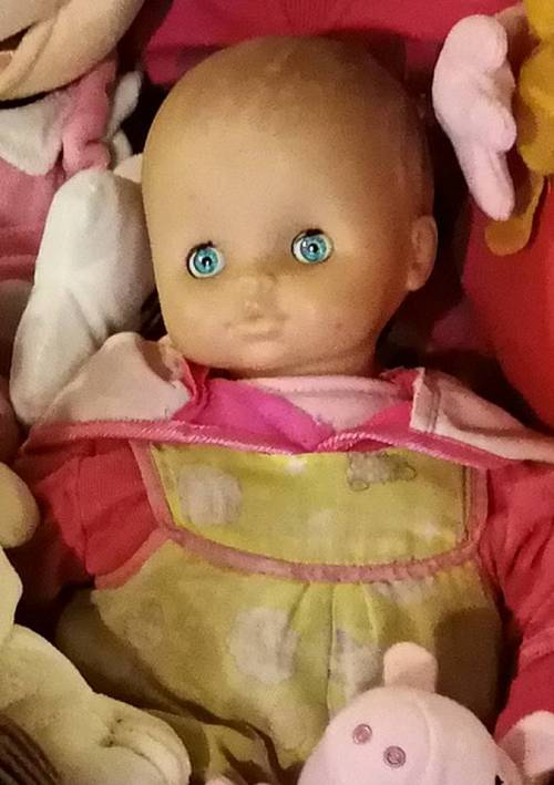 I ladri rubano la bambola della figlia: disperato appello della madre