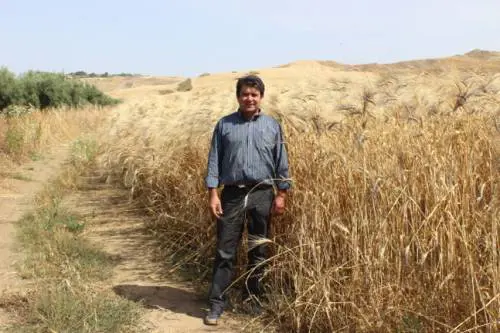 "Ho riscoperto i grani antichi per far star bene mia moglie"