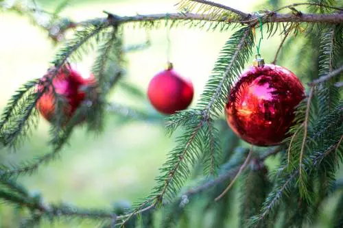 Bitonto, rissa tra mamme alla recita di Natale dei bambini