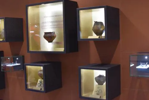 I reperti archeologici della Civiltà di Golasecca esposti a Malpensa