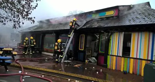 Incendio allo zoo di Londra, un animale morto e altri dispersi