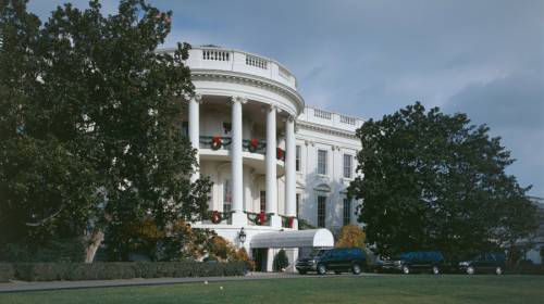 La più vecchia magnolia della Casa Bianca verrà abbattuta