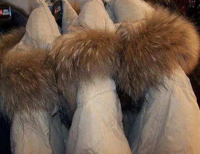 Pellicce vere vendute come sintetiche: maxi sequestro a Milano