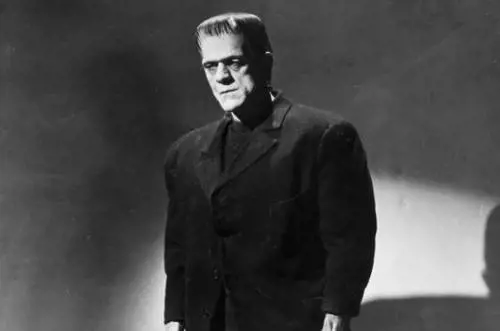 Da Darwin a Benjamin Franklin Così nasce l'esperimento che darà vita alla carne morta