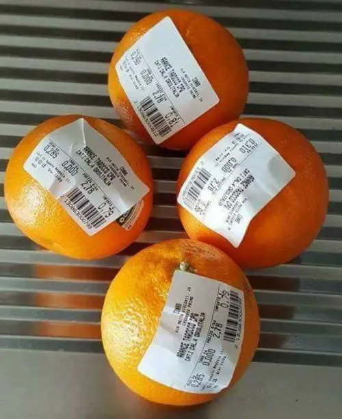 I sacchetti biodegradabili a pagamento solo in Italia