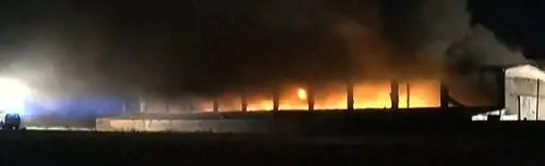 Rogo a Pavia, il sindaco: "Non mangiate ortaggi"