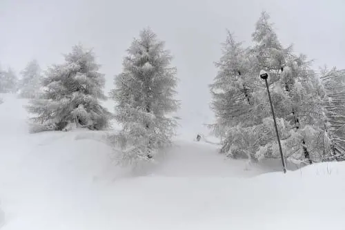 Dai monti della Norvegia spuntano gli sci della preistoria