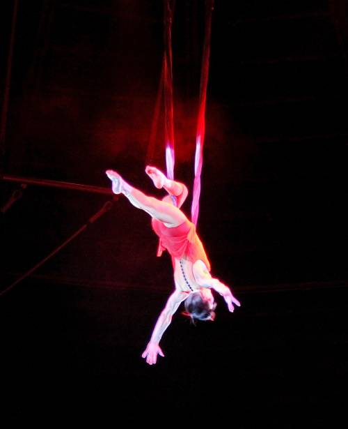 Terrore al circo: trapezista cade rovinosamente a terra