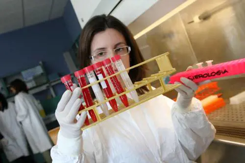 "Pochi fondi e sistema nel caos. Ma i ricercatori fanno miracoli"