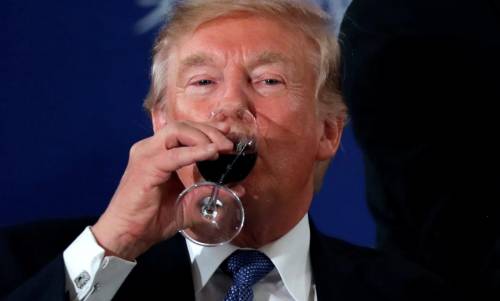 Primitivo dalla Puglia agli Usa. Donald pazzo per il rosso (che non ha mai assaggiato)