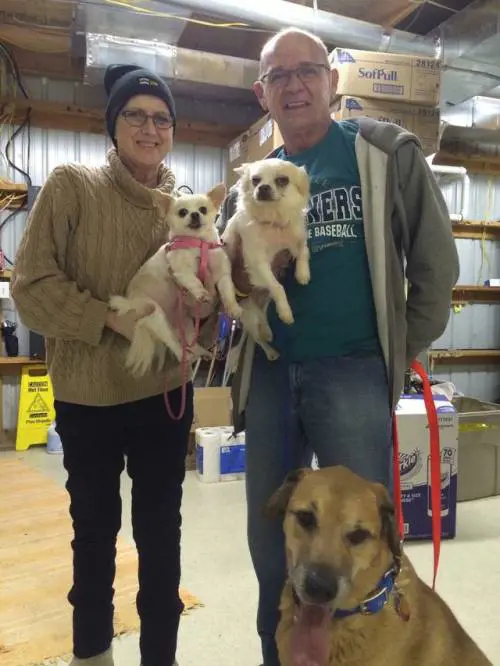 "L'amore di quel cucciolo le ha alleviato le sofferenze"