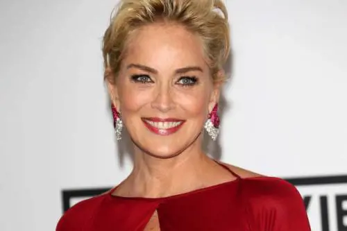 Sharon Stone: "Sono stata nell'aldilà. Ho perso la memoria a breve e a lungo termine"