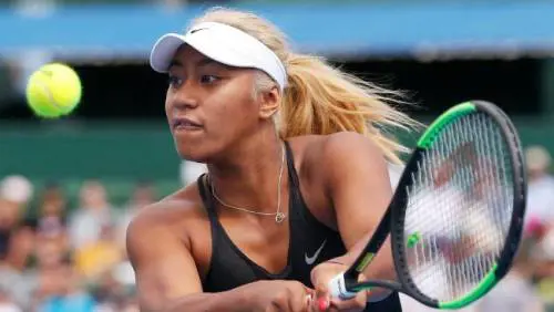 Tennis, razza e stupidità