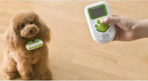 Fido ci parla, la scienza prova a tradurlo