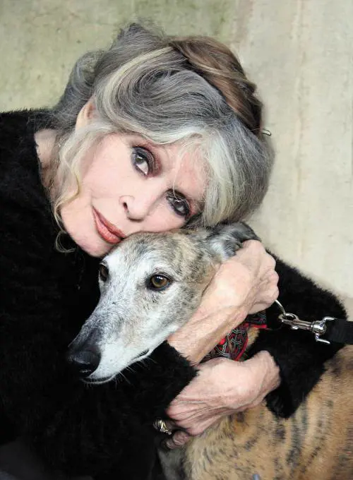 "Sei un codardo", "Tu una demagoga". Tweet e insulti tra Bardot e il ministro