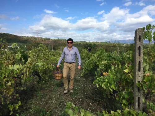 L'imprenditore Neri: "Non lascio la mia Sicilia a chi vuole depredarla"