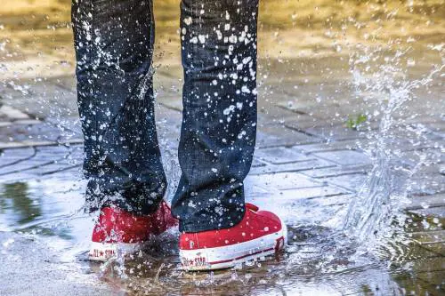Bagna la strada con l'acqua. ​E la donna viene multata