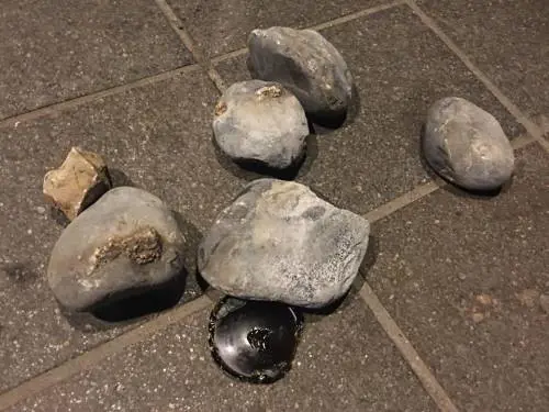 Rovereto, Salvini: "Attacco con molotov per non farmi parlare"