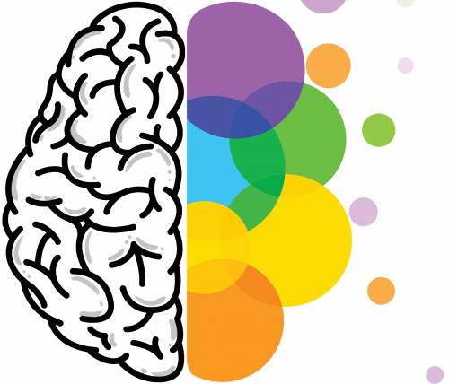 La creatività? Talento naturale forgiato da molto esercizio