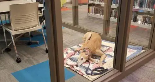 John Muellner/Facebook