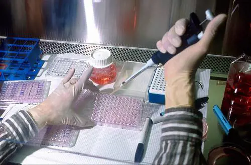 "La ricerca scelga i più bravi. E faccia parlare soltanto loro"