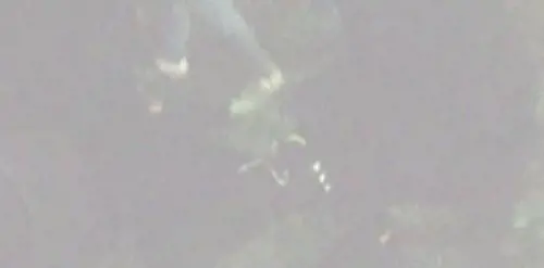 Il video del pestaggio del militante di Forza Nuova a Palermo