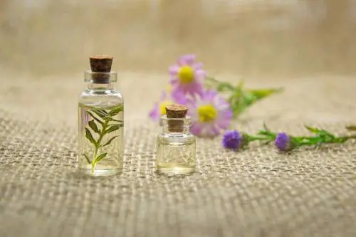 Casa: i detergenti naturali che puliscono e disinfettano