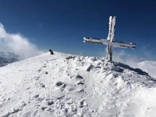 Il miracolo del cane "alpinista": disperso a 2.400 metri, poi si salva