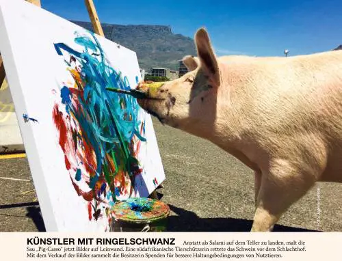 Dai quadri di "Pig-casso" alla scimmia Warhol. Quando l'arte è bestiale