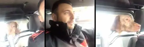 Il cane "arrestato" dai carabinieri: "Sei uno spacciatore di crocchette"
