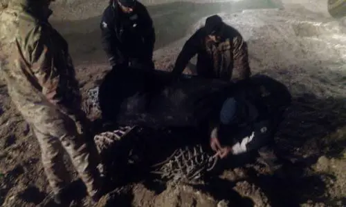 Fano, artificieri rimuovono bomba d'aereo innescata