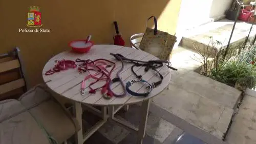 Teneva al guinzaglio e maltrattava la madre
