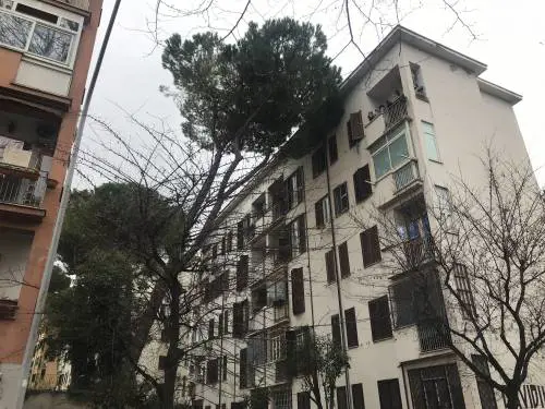 Roma, le case Ater cadono a pezzi: "Qui sembra di essere in guerra"