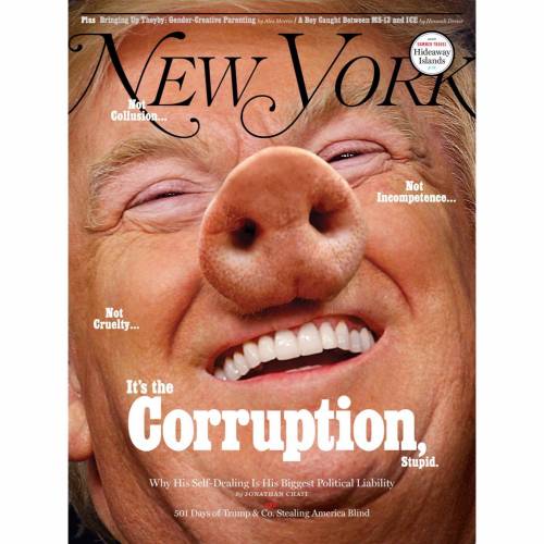 Trump è un maiale sulla copertina del New York Magazine