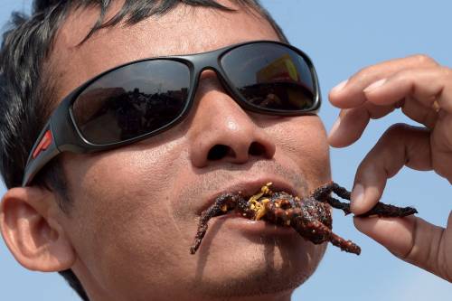 Tarantole fritte, il piatto più gustoso in Cambogia