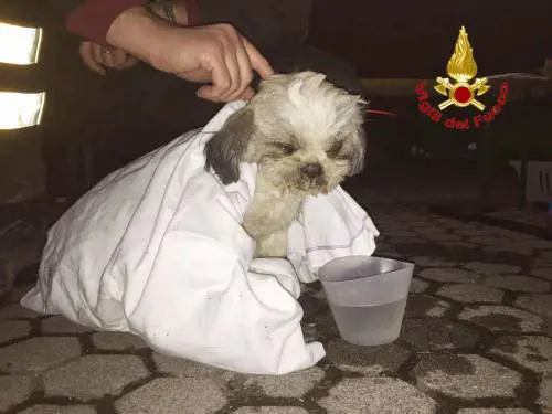 Ciclamino è salvo: ora fa il tifo per il suo sergente