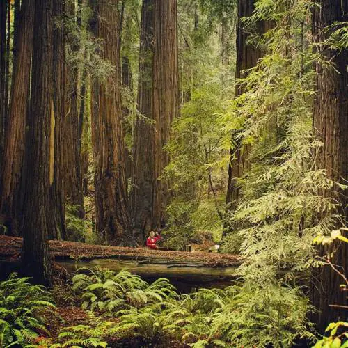 Quanto può fare paura l'amore assoluto di un padre per la figlia
